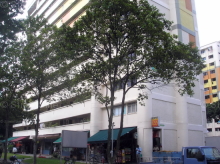 Blk 322 Hougang Avenue 5 (Hougang), HDB 4 Rooms #237562